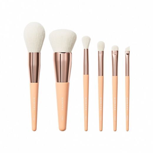 Aurascape 6-Piece Face & Eye Travel Brush Set 