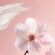 The Ritual of Sakura Natural Deodorant 75ml