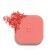 Cheeks&Eyes Match Lasting Blush & Eyeshadow Powder