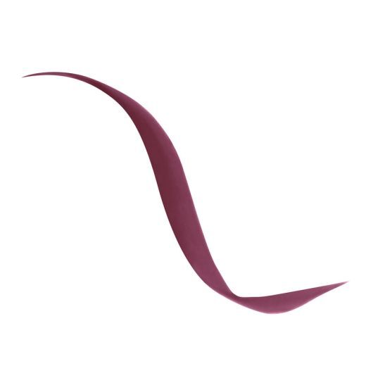 Diorshow Liquid Liner 881 Satin Burgundy