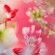 CHANCE EAU TENDRE EDP