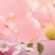 CHANCE EAU TENDRE EDT