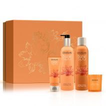 HOME SPA Harmony Of Ayurveda Luxury SPA Set