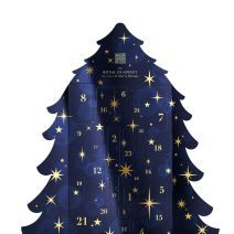 The Ritual of Advent 2D