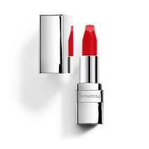 Lipstick + Lip Balm 