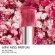 Miss Dior Parfum Mini Miss Solid Perfume