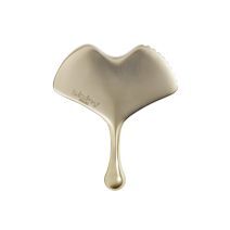 Ginkgo Gua Sha