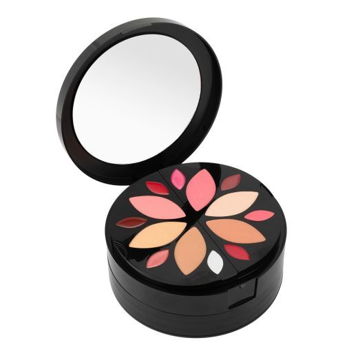 Christmas 2023Star Palette