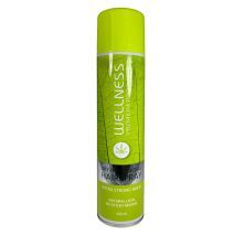 WELLNESS PREMIUM PRODUCTS Dry Professional Hairspray Extra Strong Hold Profesionalus plaukų lakas